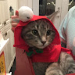 Meet your Posher, Mira